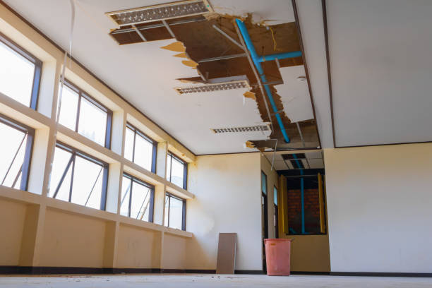 Best Commercial water damage restoration  in Chackbay, LA