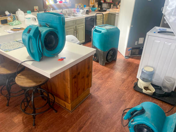Best Local water damage restoration  in Chackbay, LA