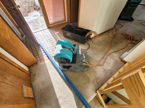 Best Professional water damage repair  in Chackbay, LA