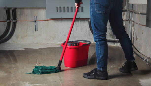 Best 24-hour water damage restoration  in Chackbay, LA
