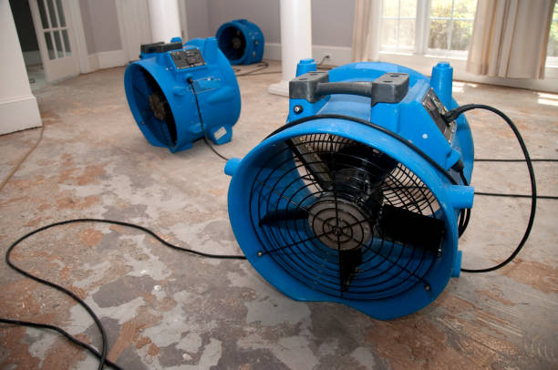 Best 24-hour water damage restoration  in Chackbay, LA