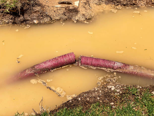 Best Water damage restoration near me  in Chackbay, LA